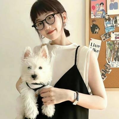 战斗吧灵兽